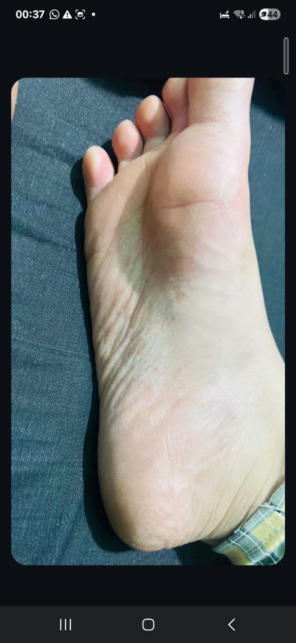 صورة التقييم